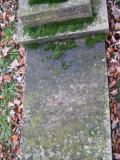 image of grave number 288050